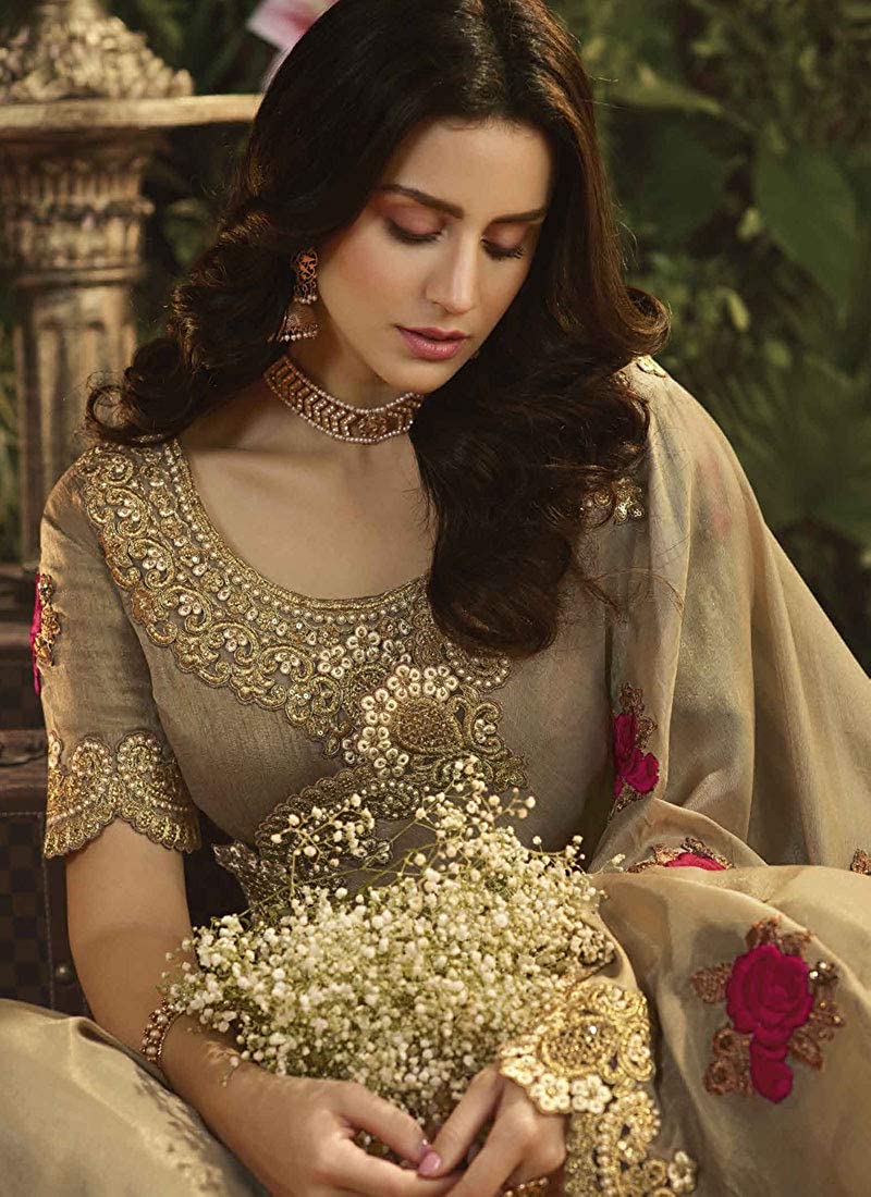 Fashion Dictionary 1002 Designer Chiffon Party Wear Saree