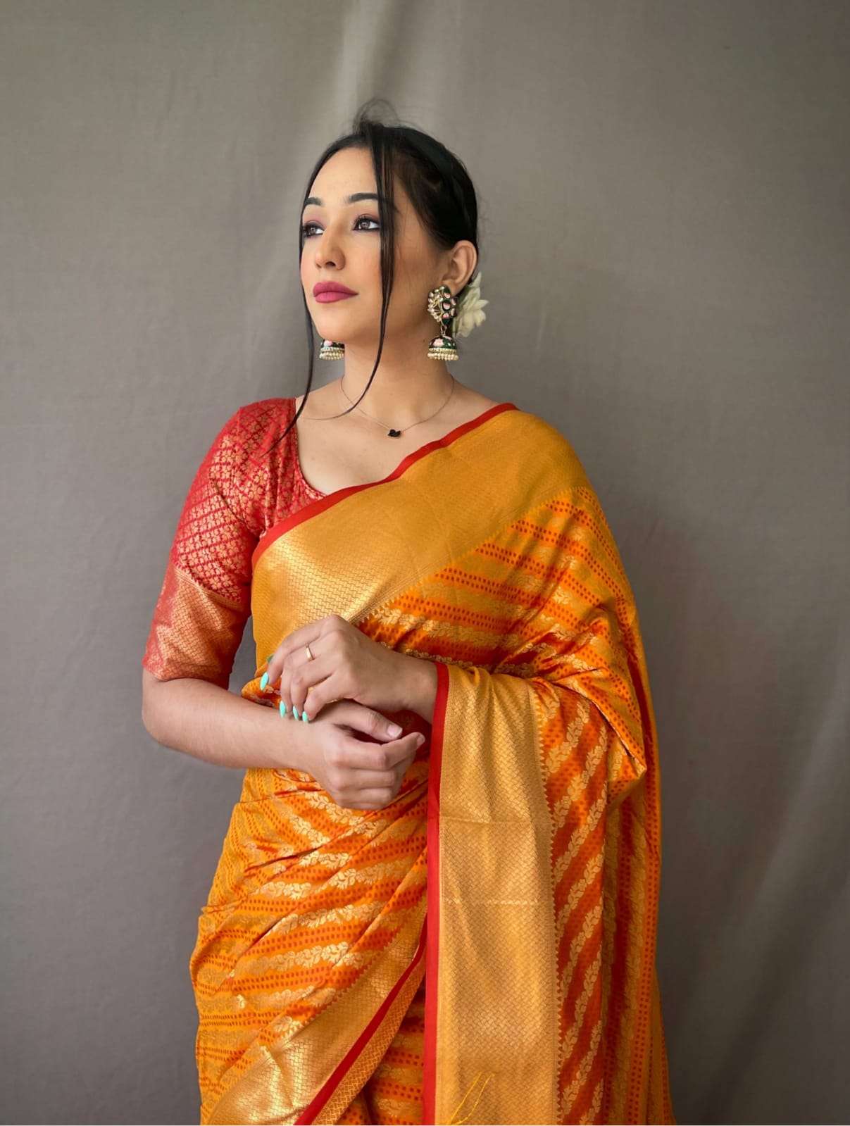bt-53 designer banarasi patola saree