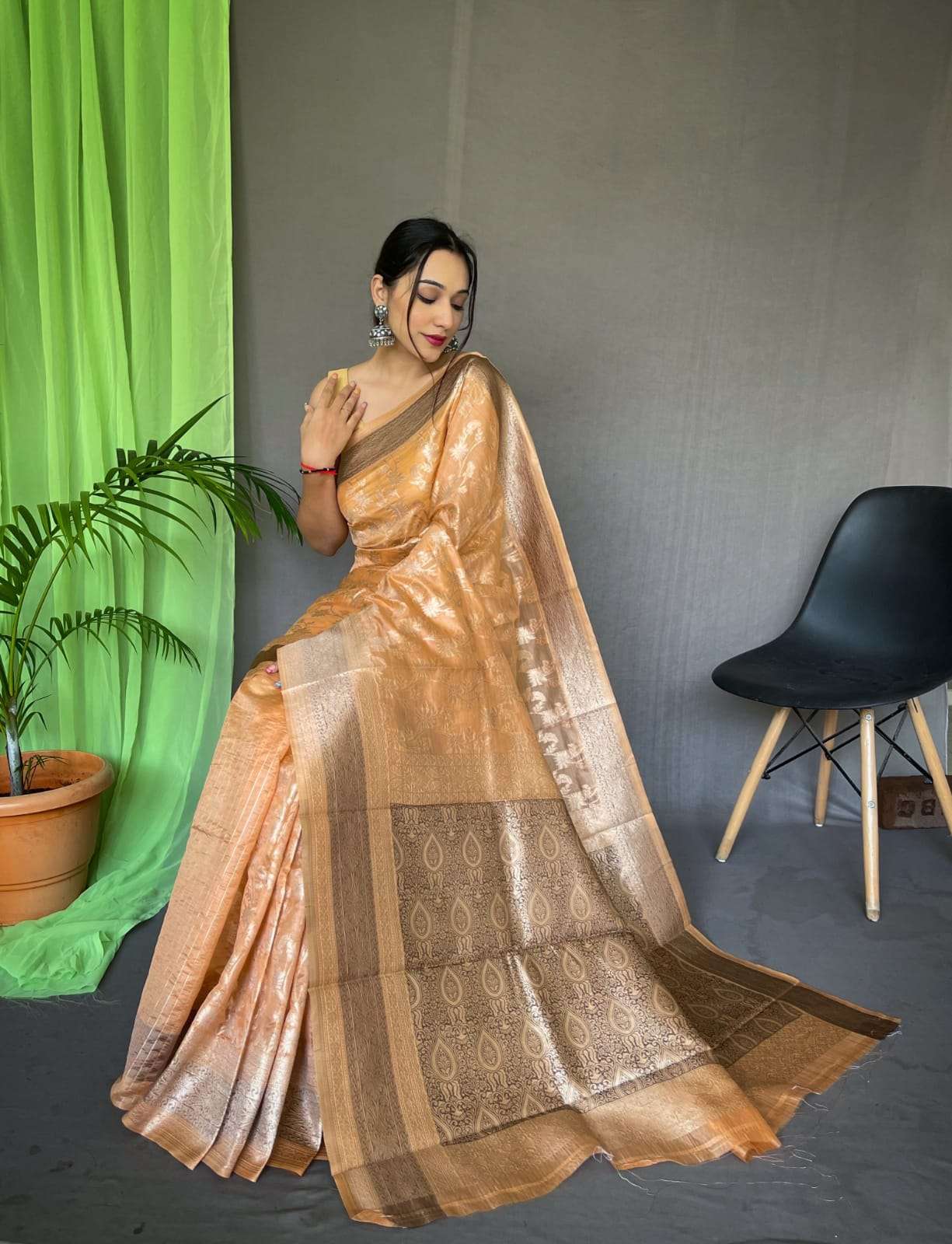 bt-53 designer organza jaal saree 