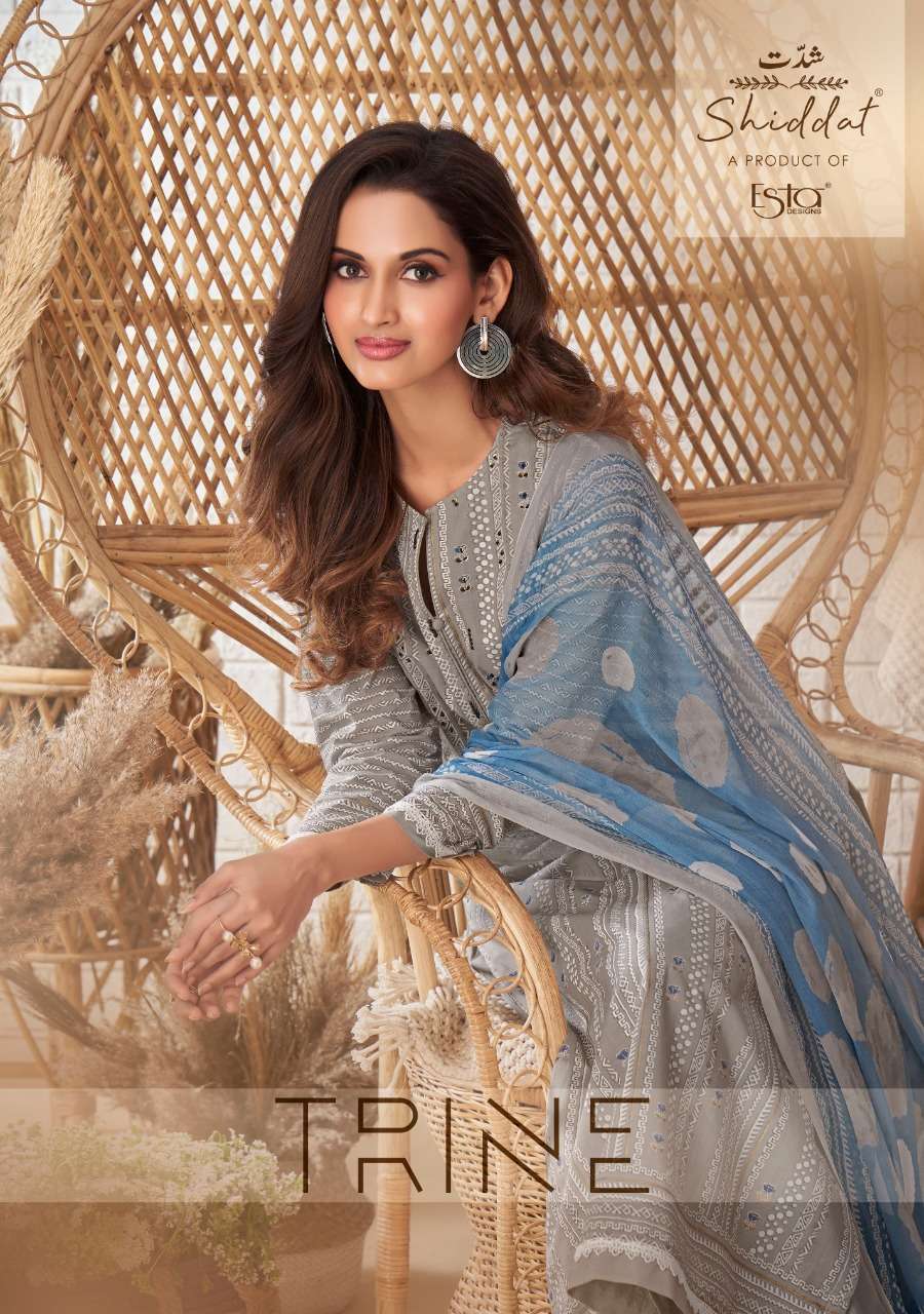 esta shiddat series 1001-1010 block printed cotton suit 