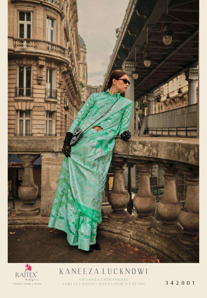 rajtex kaneeza lucknowi series 342001-342010 organza chikankari saree