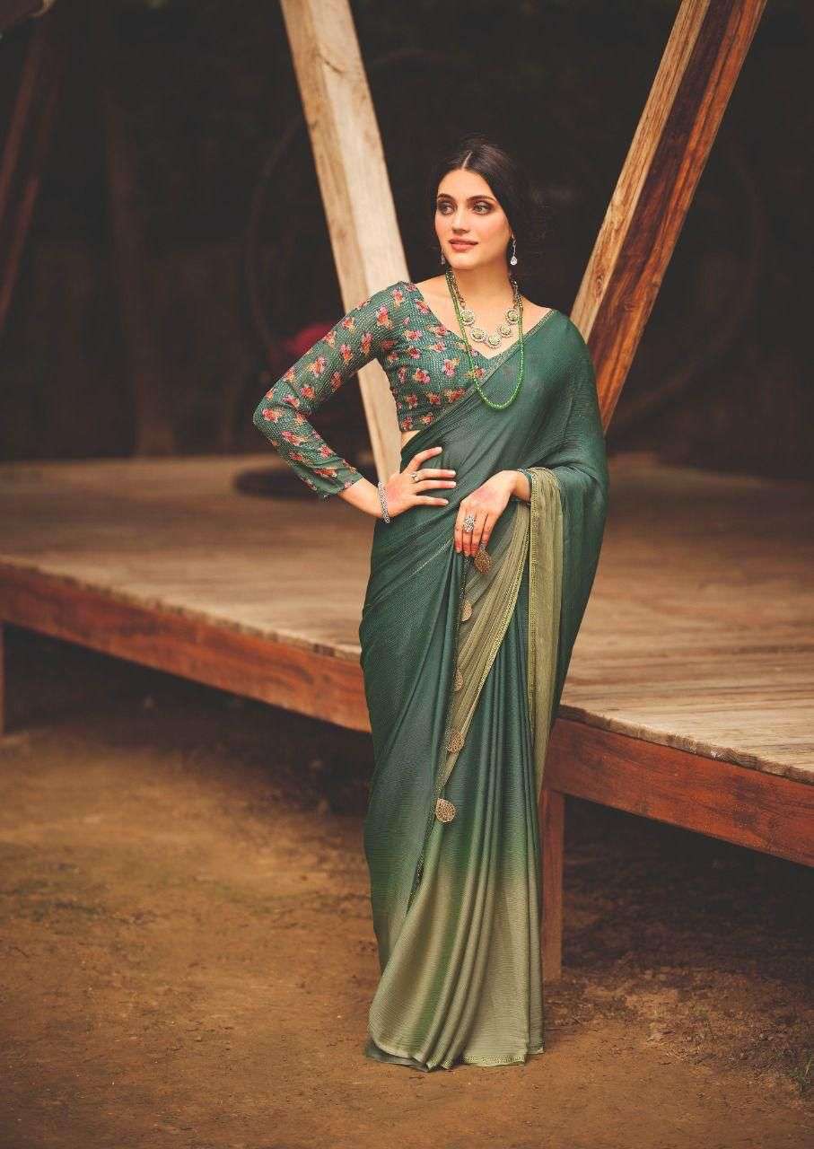 sr band designer 3D velvet siffon saree