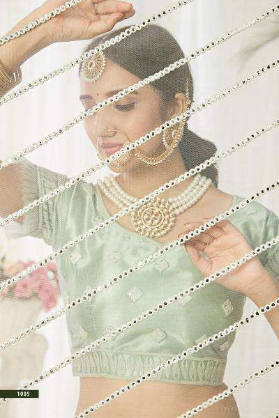 aawiya agnilekha 1005 SOFT NET wholesale lehenga