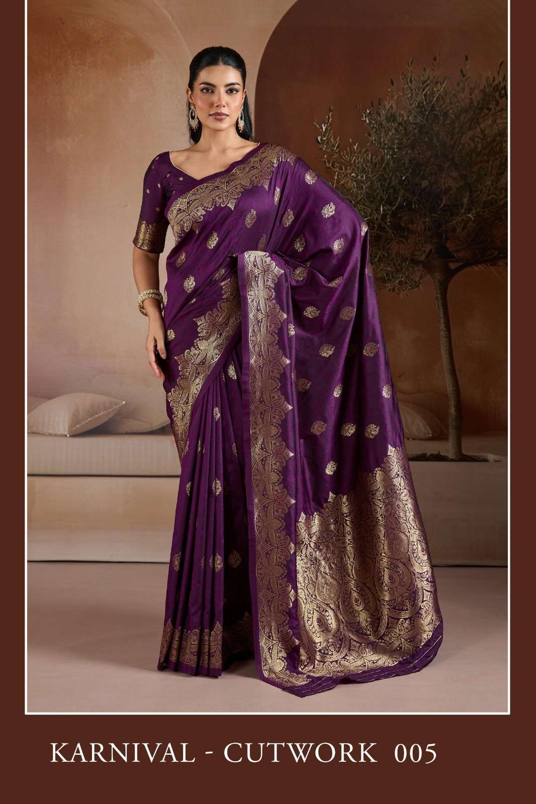 Rajtex Karnival series 001 TO 006 Handloom Weaving Silk Saree in wholesale surat