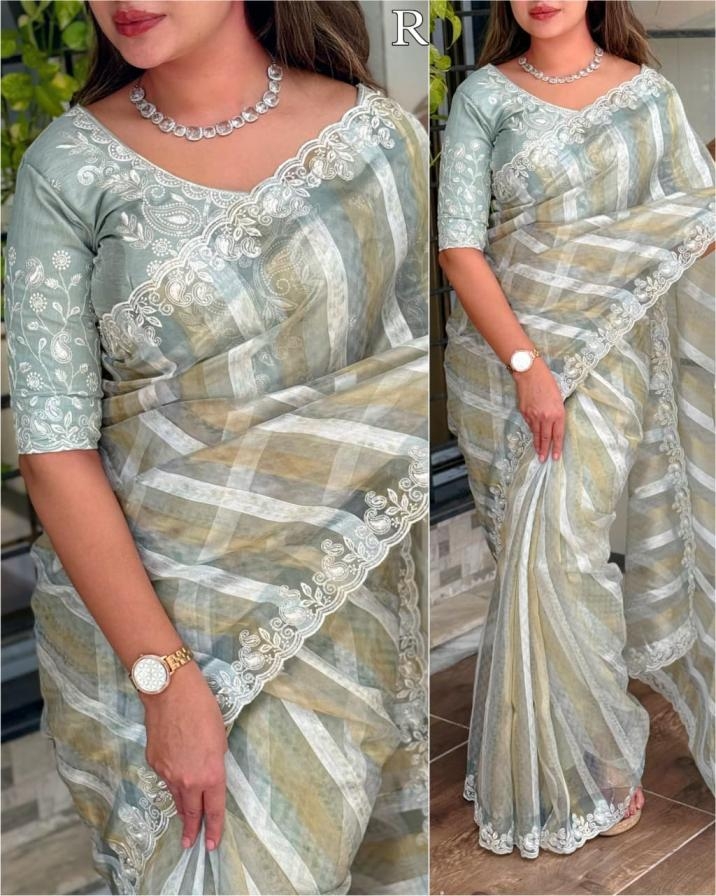 pr mumtaz tissue taspa organza gorgeous look saree in wholesale surat