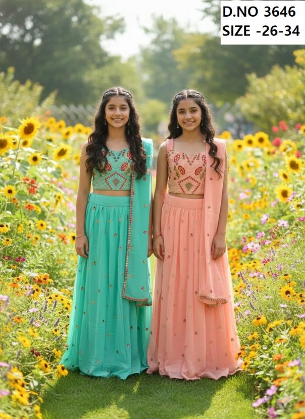 dt devi arya vol 2 series 3646 georgette wholesale lehenga