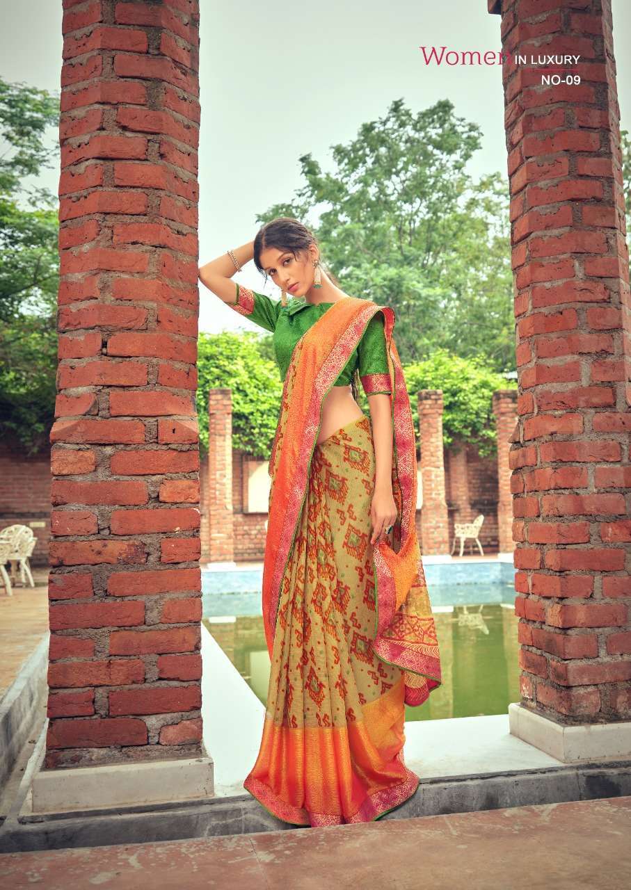 sr brand anvi series 01-10 viscose brasso panel with border saree